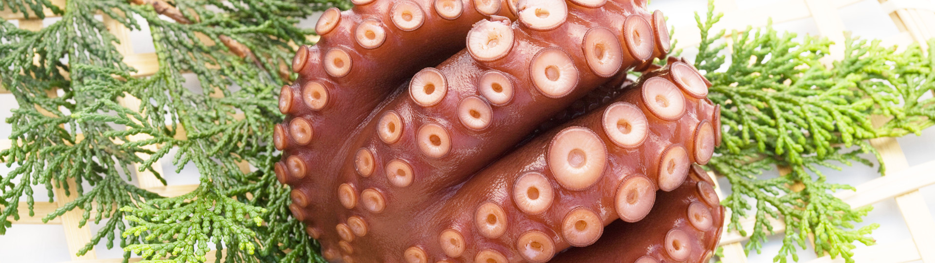 北の海からの贈り物