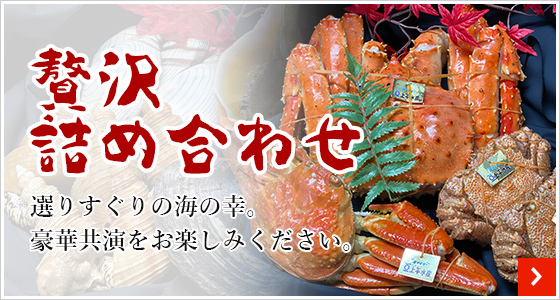 海老