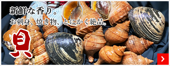 ほたて